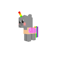 Nyna Cat