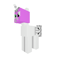 New Pony