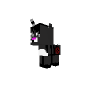 Warrior Cat Kitten