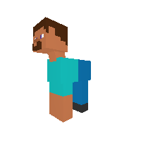 steve pony?