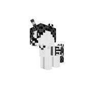 Black And White Pony