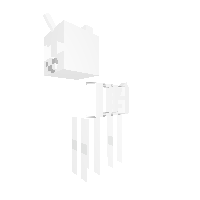 skeleton