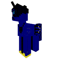 night pony