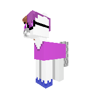 New Pony