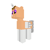 New Pony