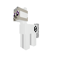 New Pony