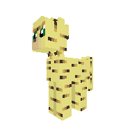 New Pony