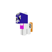 New Pony