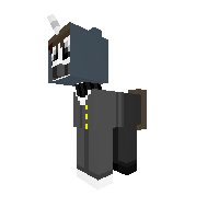 New Pony