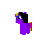 New Pony