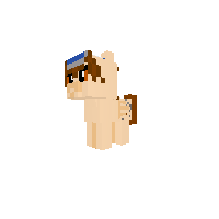 Mail Pony