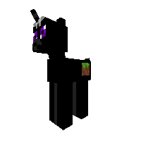 EnderMan Pony