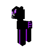 Ender Pony