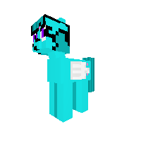New Pony