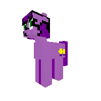 New Pony