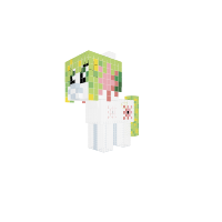 Shaymin (land form)