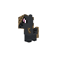 New Pony