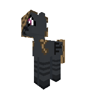 New Pony