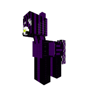 New Pony uknown