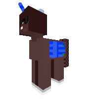 New Pony