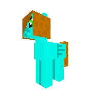 My pony skin