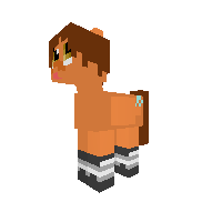 Chell Pegasus