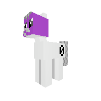 New Pony
