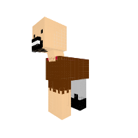 Notch