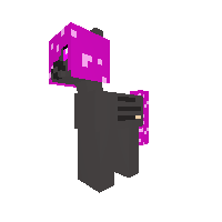 nayan pony