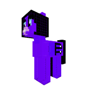 New Pony