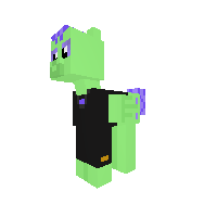 New Pony