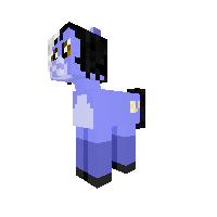 Codexes Pony Skin