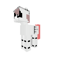 New Pony