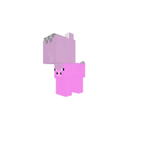 pig