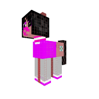 New Pony