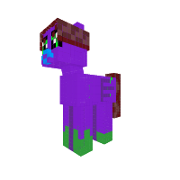 New Pony