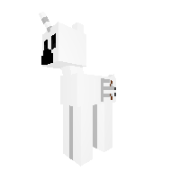 Skeleton