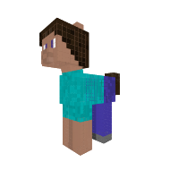 Steve