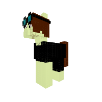 debtdm