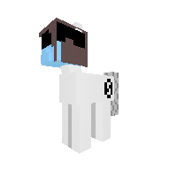 W.I.P