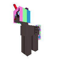 my pony
