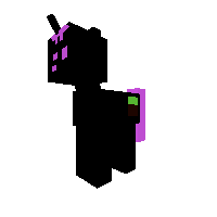 Ender pony