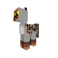 New Pony