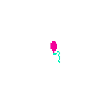 random balloon