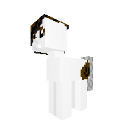 New Pony