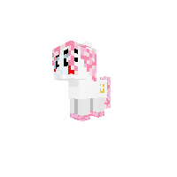 New Pony