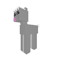 Bunnie
