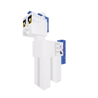 New Pony