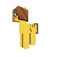 Pica pony