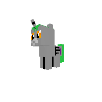 akoonle black